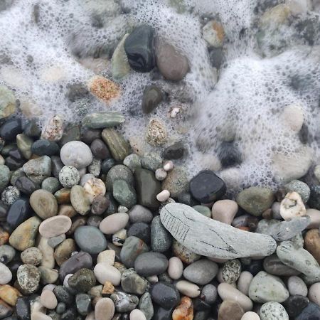 Бунгало Мини Отель, Пицунда , Лдзаа エクステリア 写真